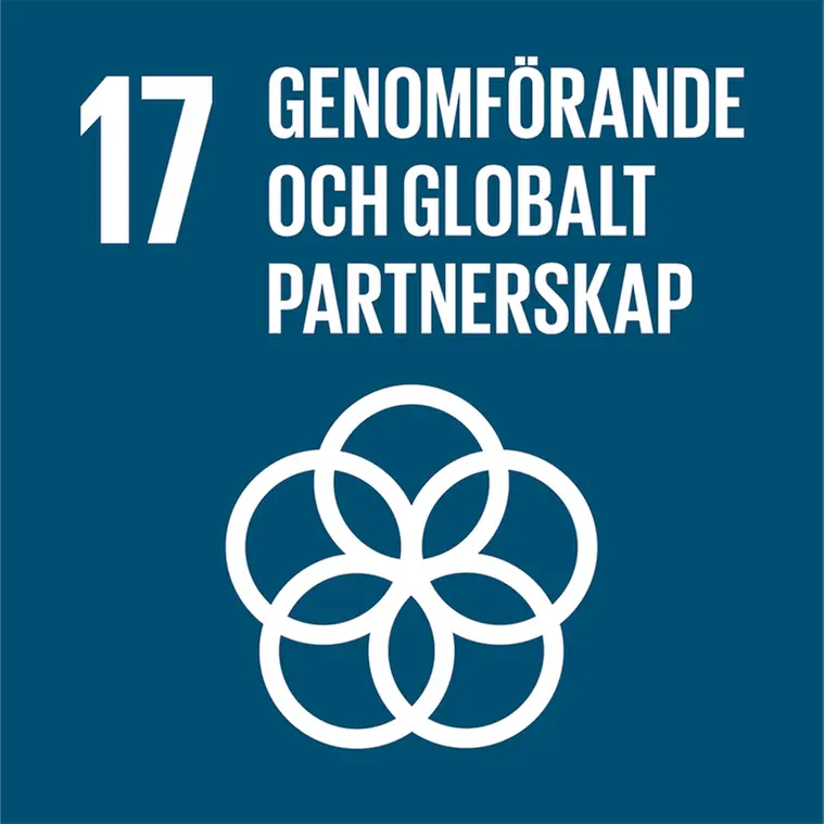 17. Genomförande globalt partnerskap